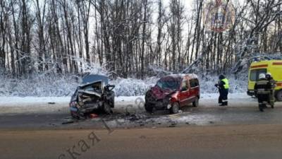 16-летнюю девчушку покромсало во время аварии в салоне «Лады» - usedcars.ru - Тула - Новомосковск