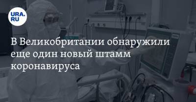 В Великобритании обнаружили еще один новый штамм коронавируса - ura.news - США - Англия - Австралия - Дания