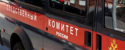 Новосибирского чиновника подозревают в мошенничестве и получении взятки авиабилетами - runews24.ru - Новосибирск - Новосибирская обл.