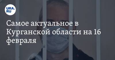 Самое актуальное в Курганской области на 16 февраля. Фермеры массово продают бизнес, Курган может получить новый статус - ura.news - Курганская обл.