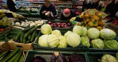 Как с начала года изменились цены на продукты в Калининградской области —инфографика - klops.ru - Калининградская обл.