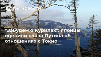 Владимир Путин - Япония - "Забудем о Курилах": японцы оценили слова Путина об отношениях с Токио - ria.ru - Москва - Россия - Токио