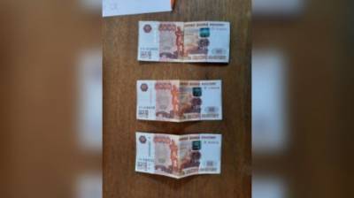 Татьяна Махницкая - В Пензенской области взяточник положил 15 тыс. руб. в уголовный кодекс - penzainform.ru - Таджикистан - Пензенская обл.