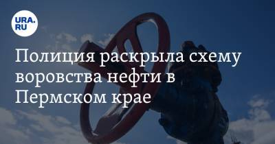 Полиция раскрыла схему воровства нефти в Пермском крае - ura.news - Пермский край