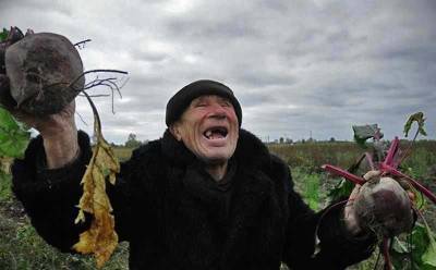 Для получения достойной пенсии россиянам придется зарабатывать свыше 100 тысяч рублей - bloknot.ru