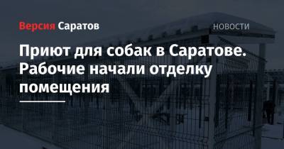 Приют для собак в Саратове. Рабочие начали отделку помещения - nversia.ru - Саратов