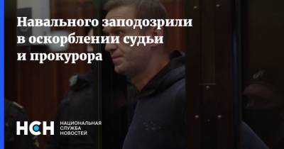 Алексей Навальный - Екатерина Фролова - Навального заподозрили в оскорблении судьи и прокурора - nsn.fm