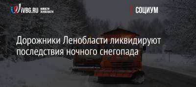 Дорожники Ленобласти ликвидируют последствия ночного снегопада - ivbg.ru - Ленинградская обл.