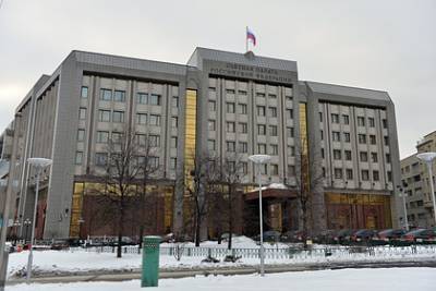 Светлана Орлова - Счетная палата нашла бесцельную раздачу денег из бюджета - lenta.ru