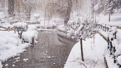 Климатолог заявил о возможном выходе Крыма из 20-летней засухи - crimea.ria.ru - Крым - Симферополь