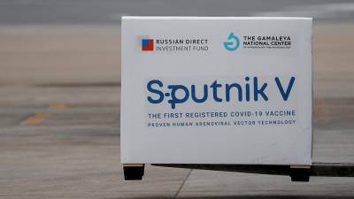 В ЮАР сообщили о получении заявки на регистрацию «Спутника V» - iz.ru - Юар