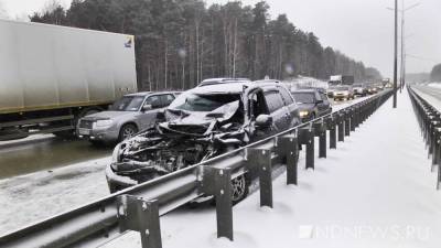Зоя Осколкова - В Карелии двое взрослых и два ребенка погибли в аварии с лесовозом - newdaynews.ru - Петрозаводск - Медвежьегорск - республика Карелия