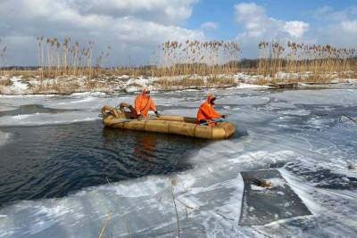 Водолазов из Иванова привлекли к поискам мальчика в Воронежской области - mkivanovo.ru - Москва - Воронеж - Воронежская обл. - Иваново - Курск - республика Карелия