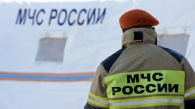 Владимир Путин - Михаил Мишустин - Кабмин выделит МЧС 6 млрд рублей на обновление парка техники - russian.rt.com