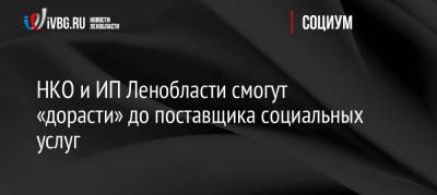 НКО и ИП Ленобласти смогут «дорасти» до поставщика социальных услуг - ivbg.ru - Ленинградская обл.