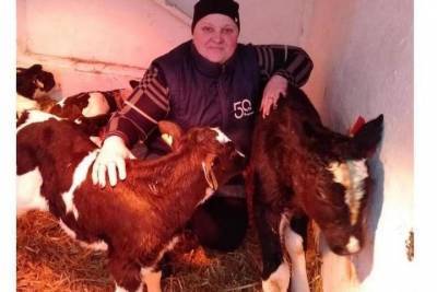 На рязанской ферме родился теленок весом 70 килограммов - rzn.mk.ru - район Шацкий