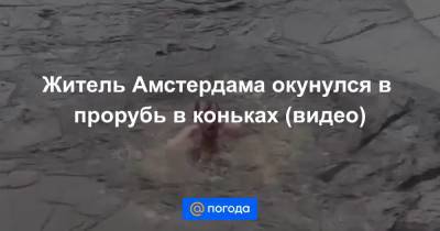 Анна Лысенко - Житель Амстердама окунулся в прорубь в коньках (видео) - news.mail.ru - Амстердам
