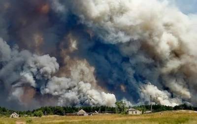 Пожары на Луганщине: объявлены еще шесть подозрений - korrespondent.net - Луганская обл.