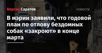 Сергей Грачев - В мэрии заявили, что годовой план по отлову бездомных собак «закроют» в конце марта - nversia.ru - Ленинск - район Заводский