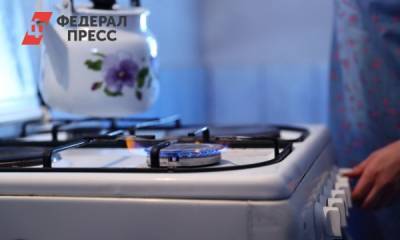 Алексей Текслер - В Челябинской области предложили выдавать субсидии на газификацию - fedpress.ru - Челябинская обл. - Челябинск