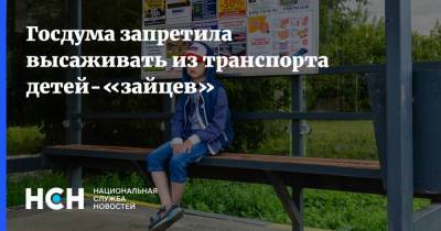 Вячеслав Володин - Госдума запретила высаживать из транспорта детей-«зайцев» - nsn.fm