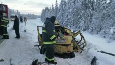 В Карелии в ДТП с лесовозом погибли двое детей и двое взрослых из Петербурга - piter.tv - Санкт-Петербург - Мурманск - Медвежьегорск - республика Карелия