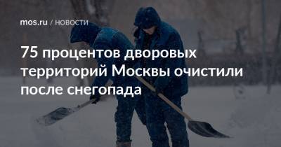 Петр Бирюков - 75 процентов дворовых территорий Москвы очистили после снегопада - mos.ru - Москва