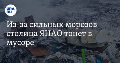 Из-за сильных морозов столица ЯНАО тонет в мусоре. Фото - ura.news - Салехард - окр. Янао