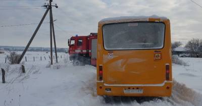 В Черновицкой области школьный автобус с детьми застрял в снежном сугробе - tsn.ua - Черновицкая обл.