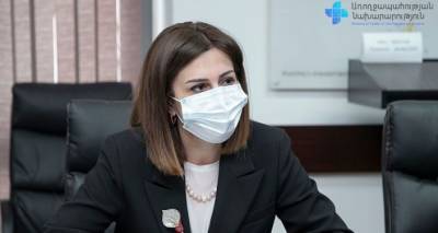 Анаит Аванесян - Делегация медиков из Нидерландов посетит Армению в апреле: Аванесян встретилась с послом - ru.armeniasputnik.am - Голландия