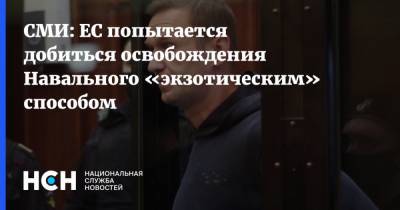 Алексей Навальный - СМИ: ЕС попытается добиться освобождения Навального «экзотическим» способом - nsn.fm