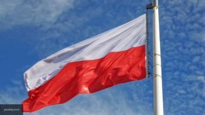 Поляки оценили уровень жизни в стране после задержания нигерийца у границ России - newinform.com