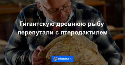 Гигантскую древнюю рыбу перепутали с птеродактилем - news.mail.ru - Юар