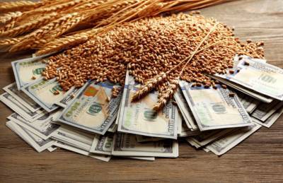 Экспорт зерна из Украины в 2020 году: куда продавали, сколько заработали - agroportal.ua