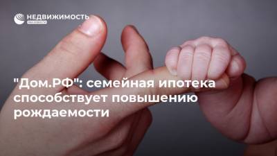 Владимир Путин - "Дом.РФ": семейная ипотека способствует повышению рождаемости - realty.ria.ru - Москва - Россия