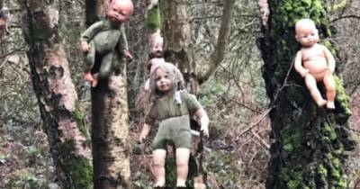 Поиграй со мной: в лесу нашли жутких кукол, прибитых к деревьям - ren.tv - Англия
