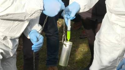 Новые штаммы коронавируса могут продлить пандемию в Европе - ru.euronews.com - Россия - США - Германия - Франция - Европа