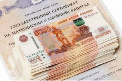 Полицейские пресекли хищение средств материнского капитала - aif.ru - Ленинградская обл.