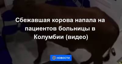 Сбежавшая корова напала на пациентов больницы в Колумбии (видео) - news.mail.ru - Колумбия