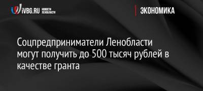 Соцпредприниматели Ленобласти могут получить до 500 тысяч рублей в качестве гранта - ivbg.ru - Ленинградская обл.