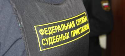 "Ход исполнительного производства" на портале Госуслуг – самый скоростной и востребованный сервис, заверили приставы - stolicaonego.ru - республика Карелия