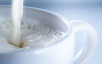 Владислава Магалецкая - Украинское молоко скоро появится в Японии и Аргентине - agroportal.ua - Украина - Япония - Аргентина
