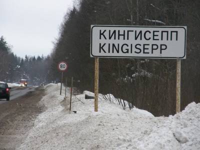 В Кингисеппе ищут педофила, пристававшего к 8-летней девочке возле школы - ivbg.ru - район Кингисеппский