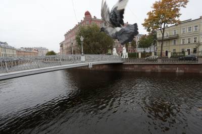 В Петербурге с начала года со льда подняли 6 тысяч человек - neva.today - Петербурга