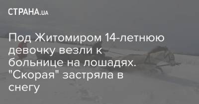 Под Житомиром 14-летнюю девочку везли к больнице на лошадях. "Скорая" застряла в снегу - strana.ua - Житомирская обл. - Житомир