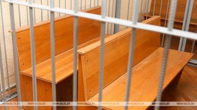 Суд в Гомеле приговорил парня к 3 годам колонии-поселения за смертельный наезд на ребенка - belta.by - Минск - Гомель
