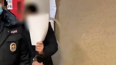 Ущерб на миллиарды: задержаны подозреваемые, срубившие сотни гектаров леса в Смоленской области - vesti.ru - Смоленская обл.