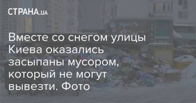 Вместе со снегом улицы Киева оказались засыпаны мусором, который не могут вывезти. Фото - strana.ua - Киев - Полтава