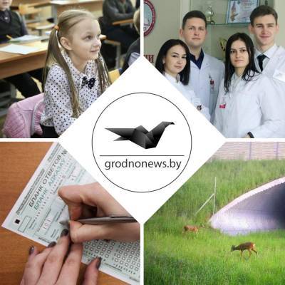 Игорь Петришенко - Совещание у губернатора, предварительное распределение в медуниверситете и нововведения в ЦТ. Главное за 16 февраля - grodnonews.by
