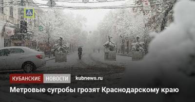 Метровые сугробы грозят Краснодарскому краю - kubnews.ru - Краснодарский край - Кубань - Белореченск - Лабинск